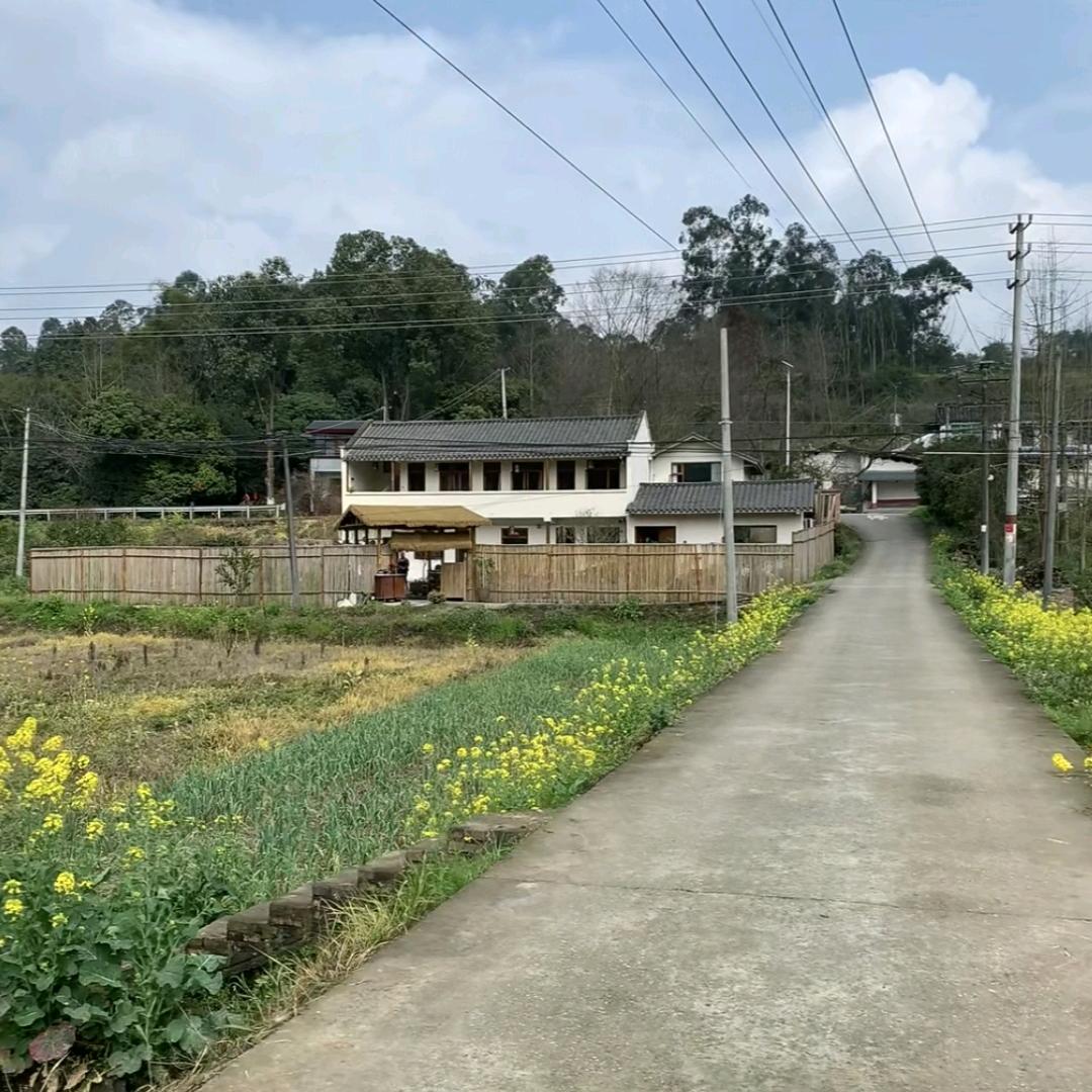 花开蕊未