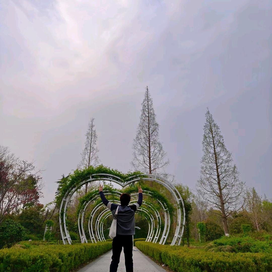 扶摇直上   九万里