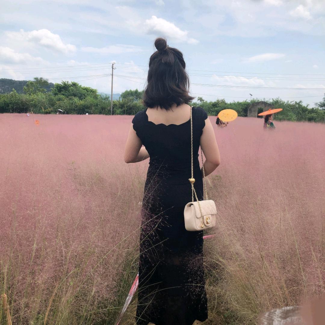 鲨鱼