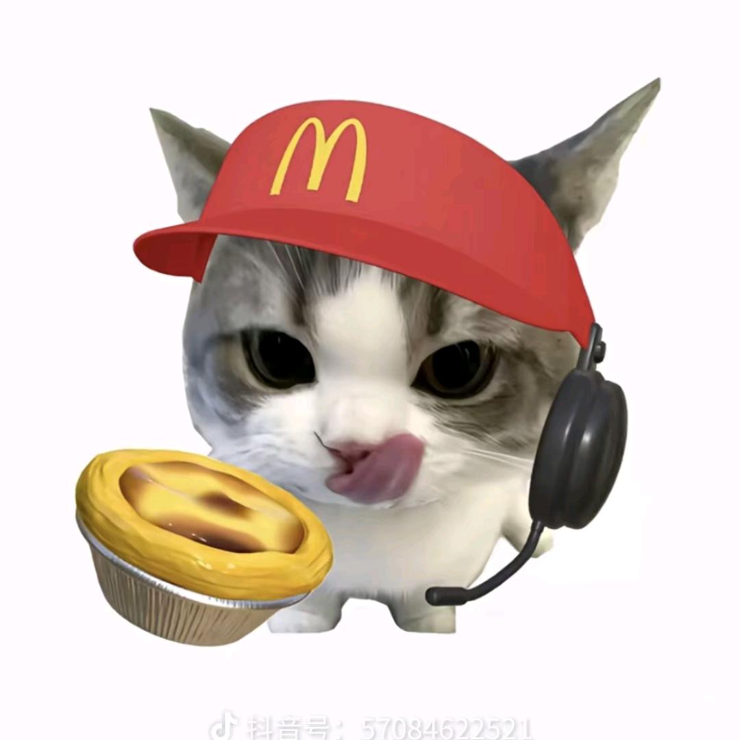 垃逼小鑫