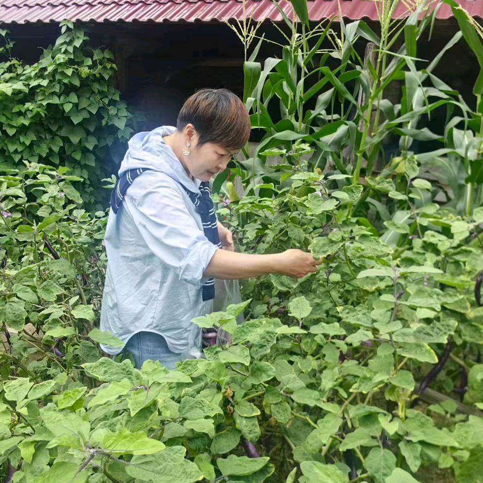 ༊简单快乐꧔ꦿ᭄💞