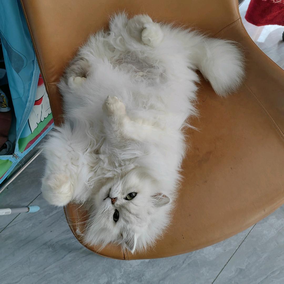 皮&二角五火锅串串