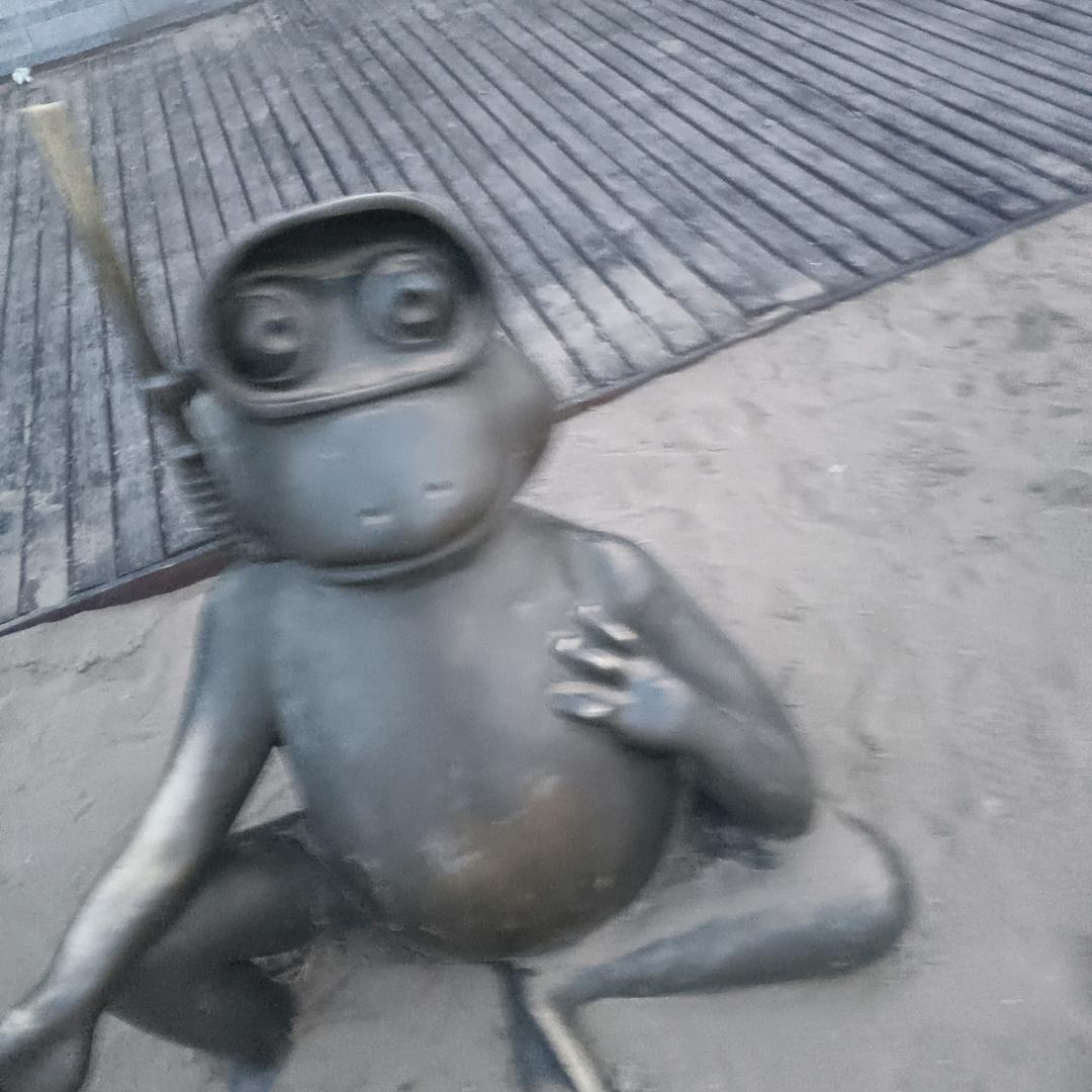 我先动筷