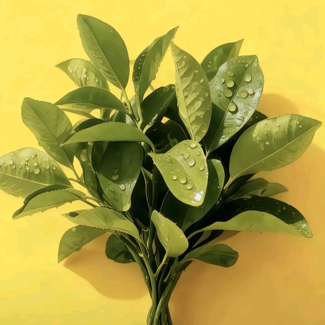 🌈啊 哈哈哈哈哈