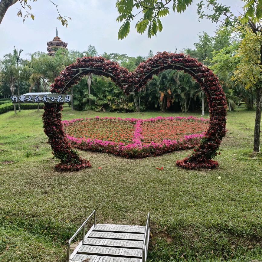 拾芯