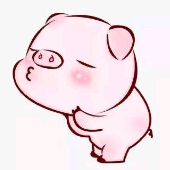 王老师决策中高考