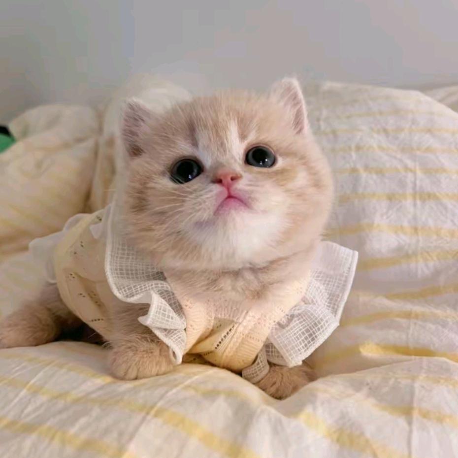 万物优选百货店