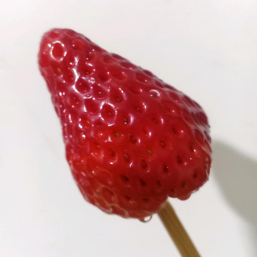 四季平安