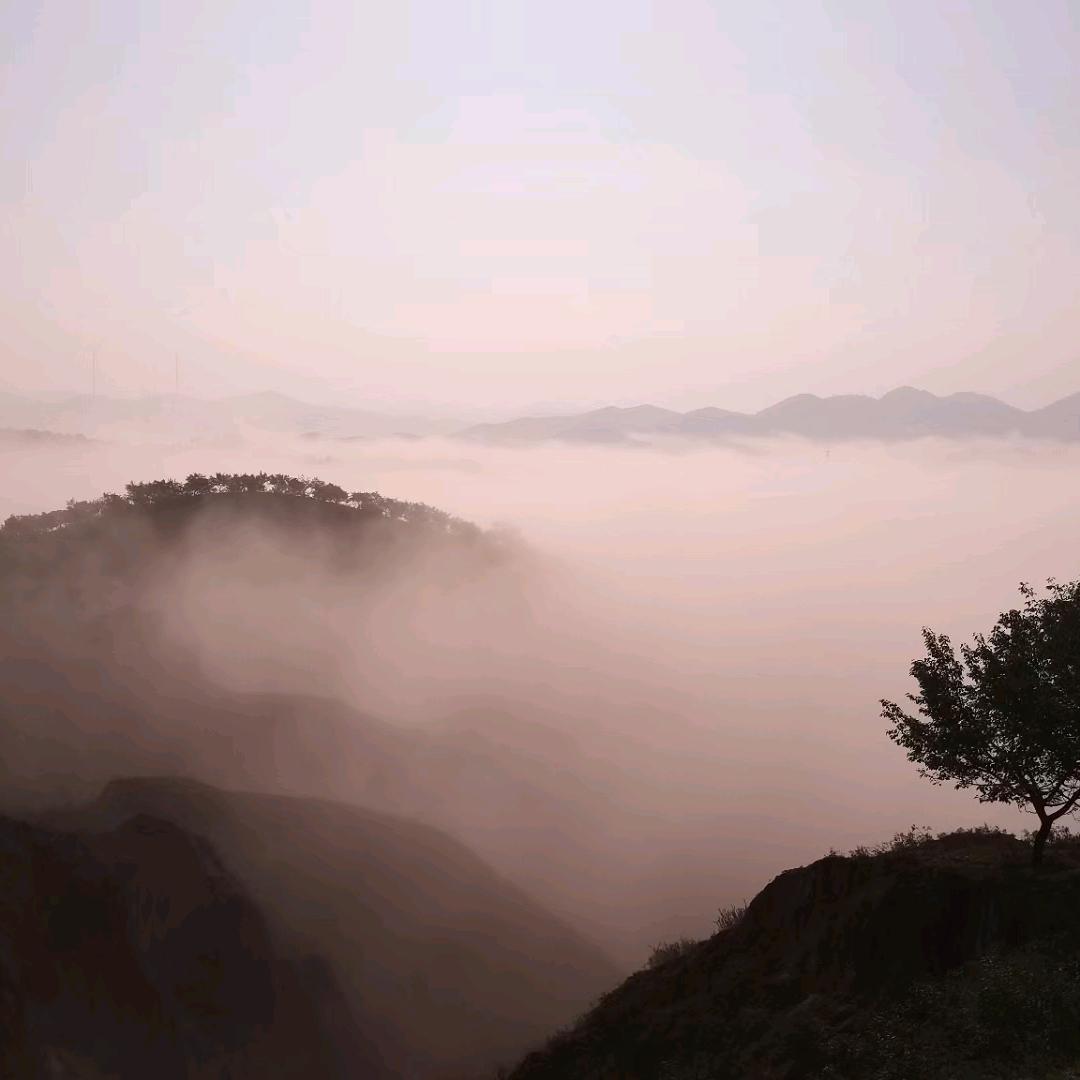 我希望明天会更好666666😒😔