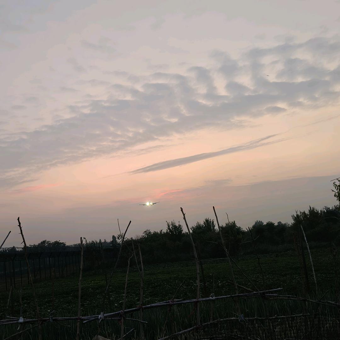 1610751232
