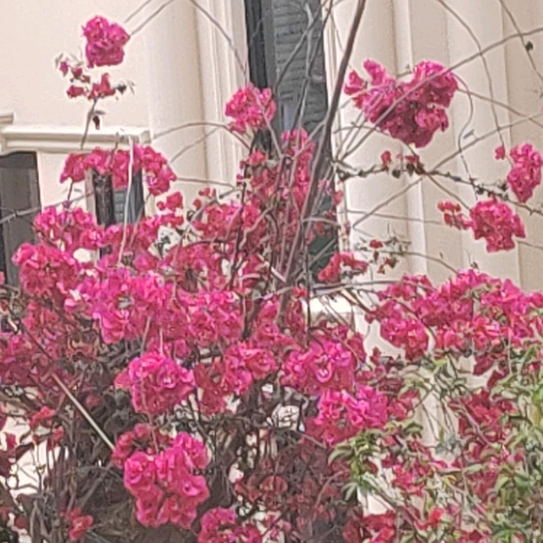 伟伟追剧