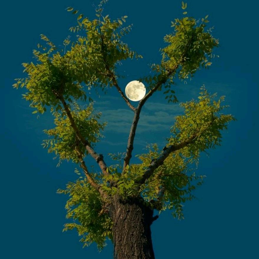 H Y🔥🔥🔥🔥💥