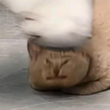 爱吃葡萄干饭团的向林头像