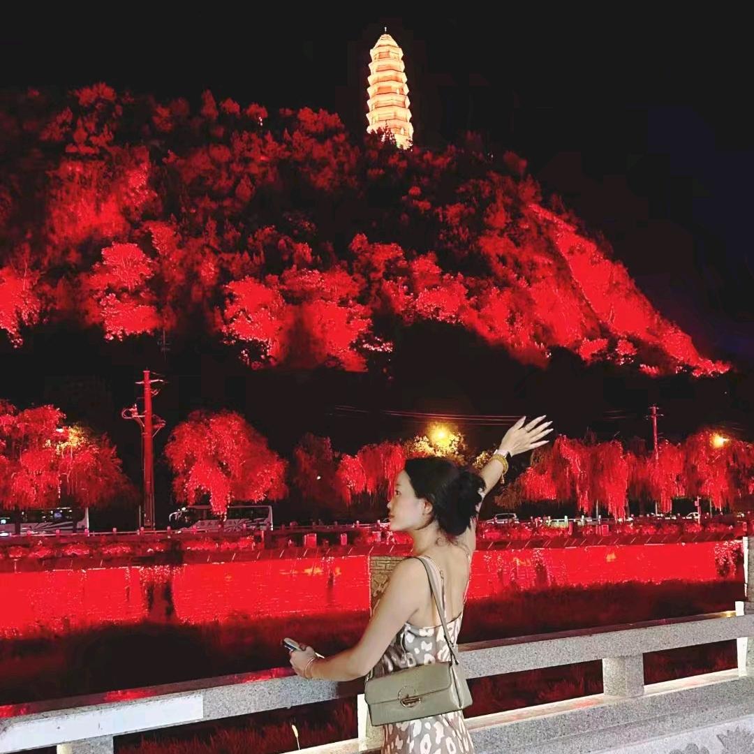 金凤