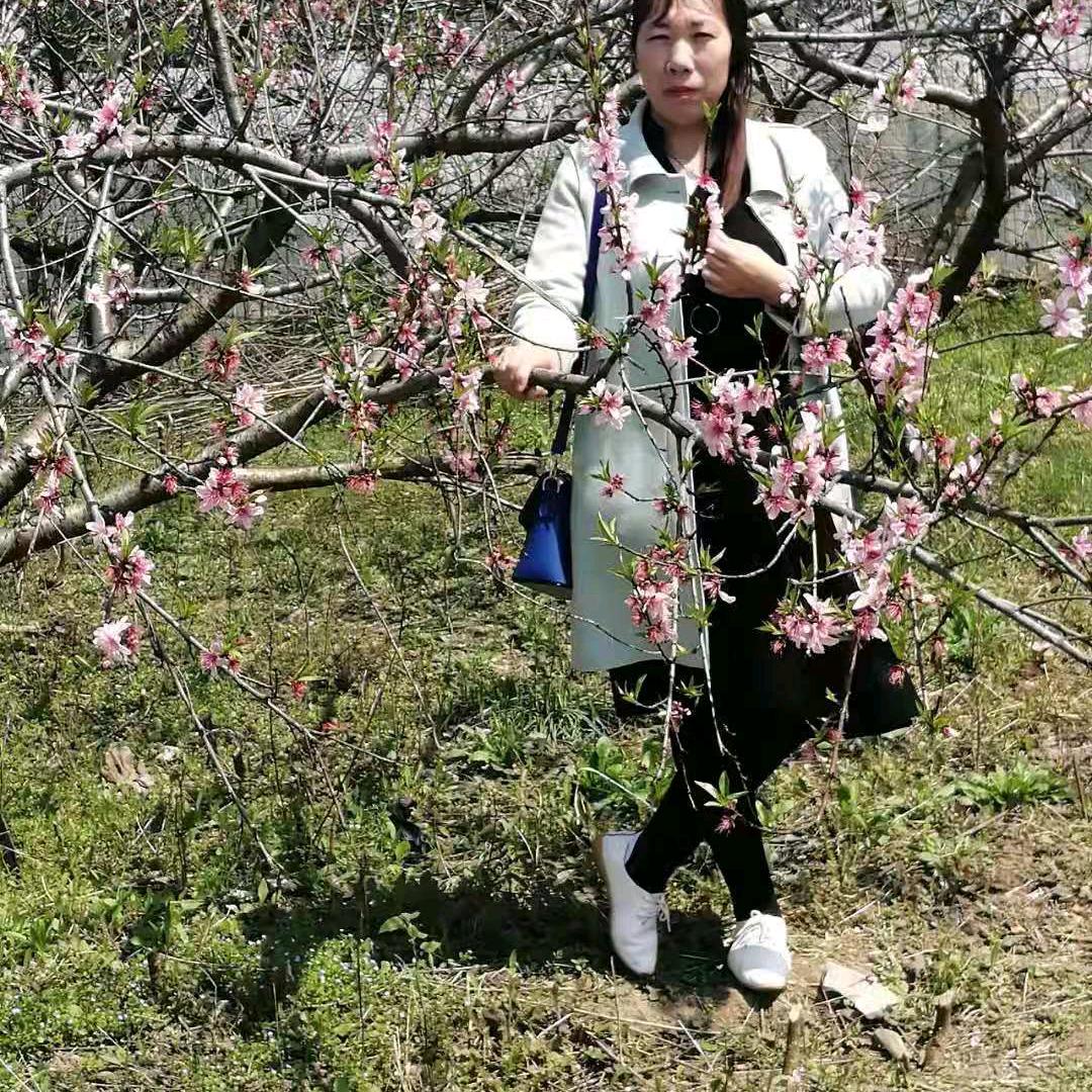 杜姐