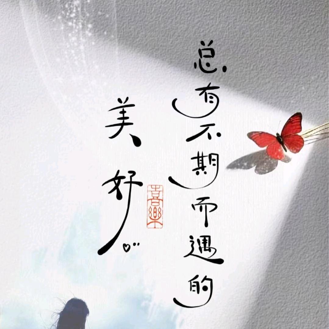 双双😊