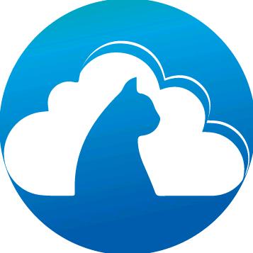 怀旧时光（云玩猫网络）