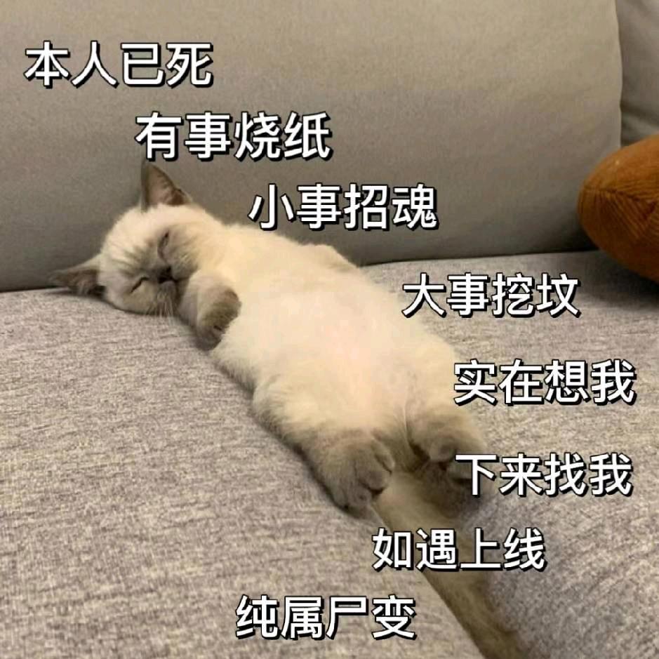 （随风去）