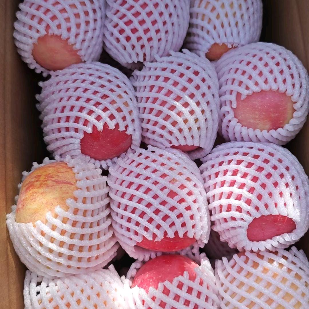 新疆苹果