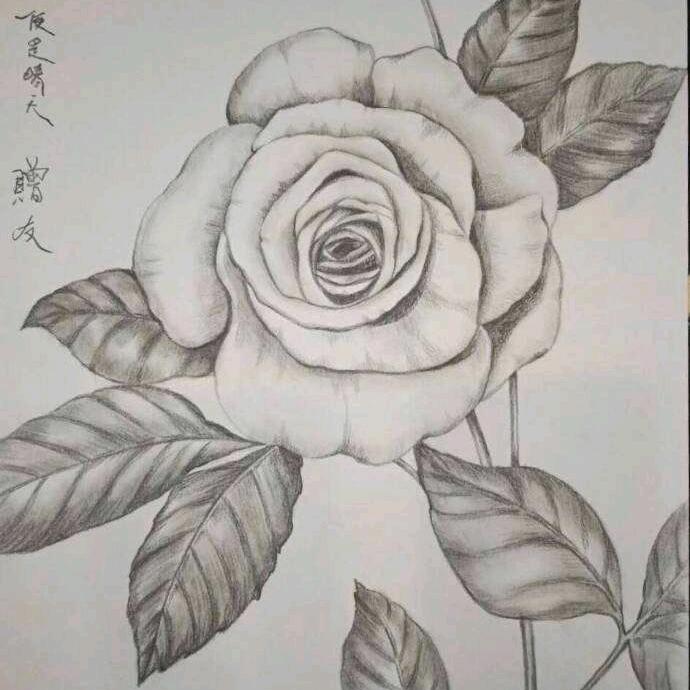有你相伴的日子