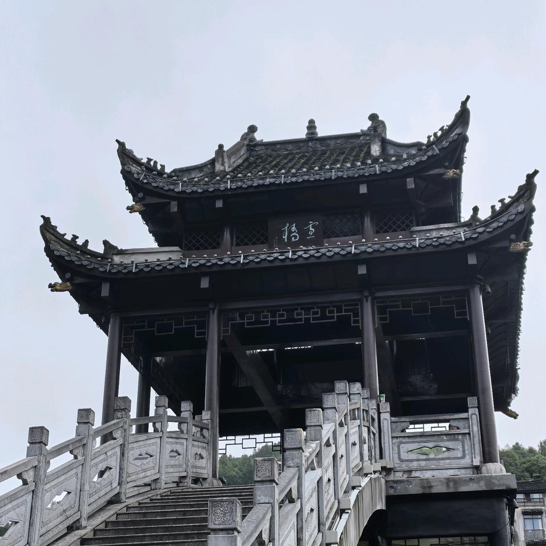 鑫 淼