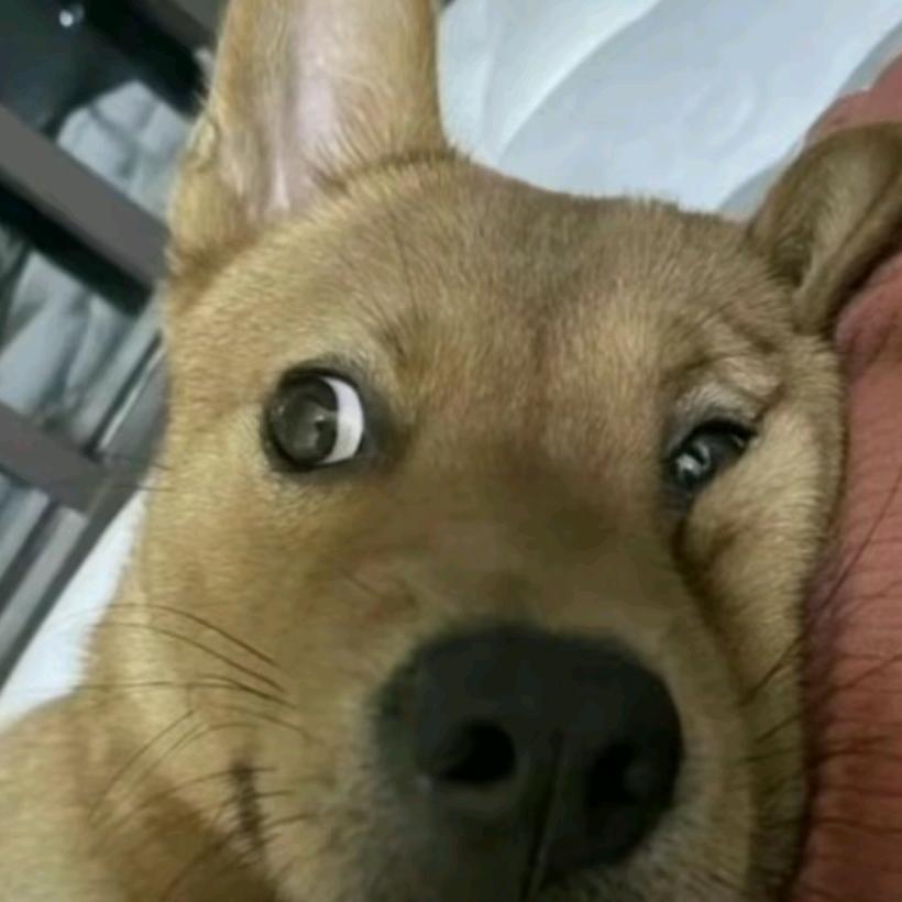 一定可以