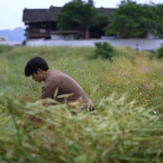 生活就是如此美好（老周）