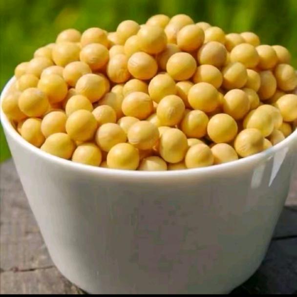 邯郸总批发大豆。有限公司。