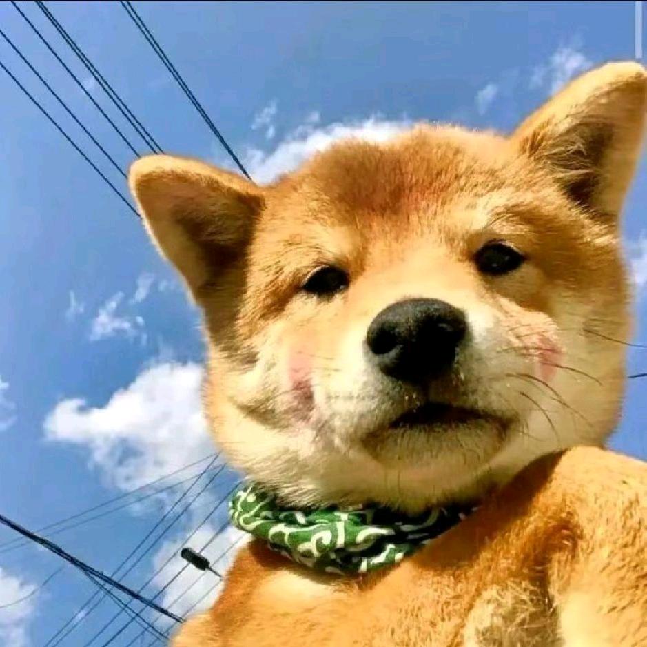 春江落