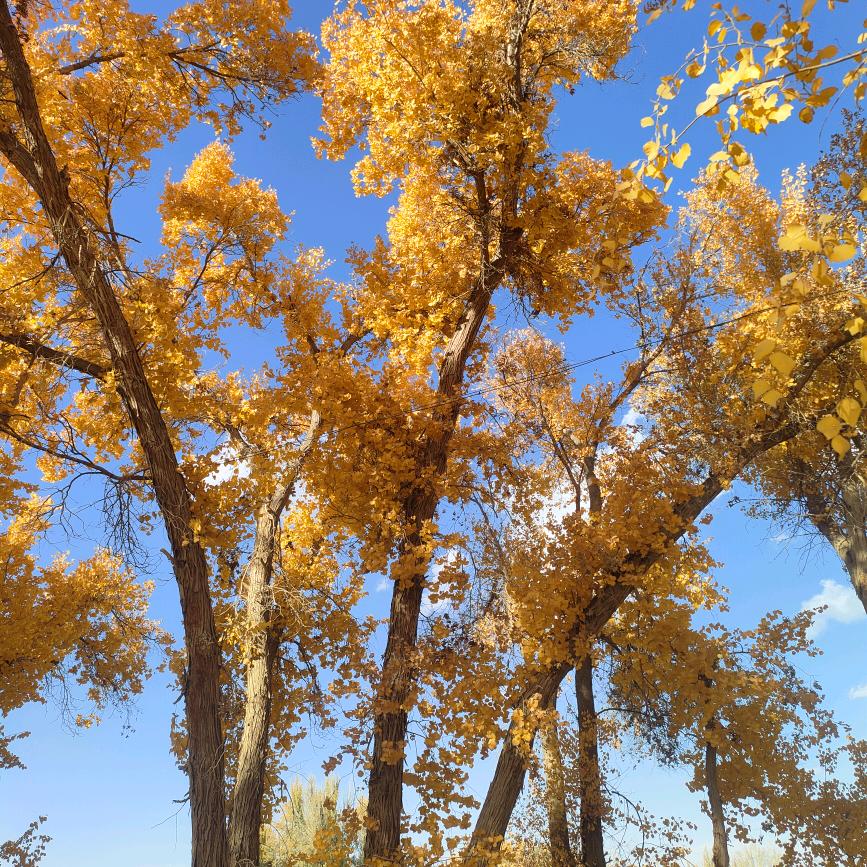 余生陪你一起走