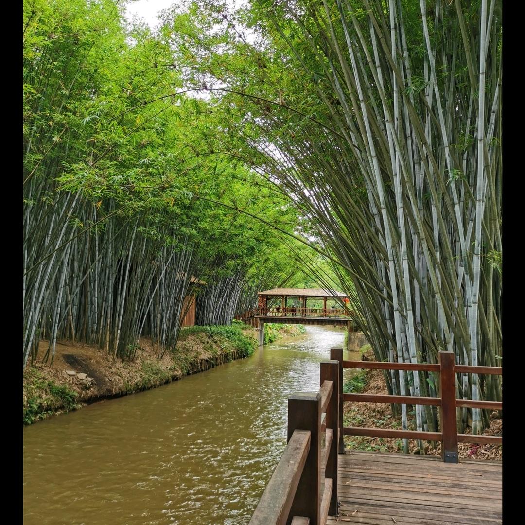 日照江河