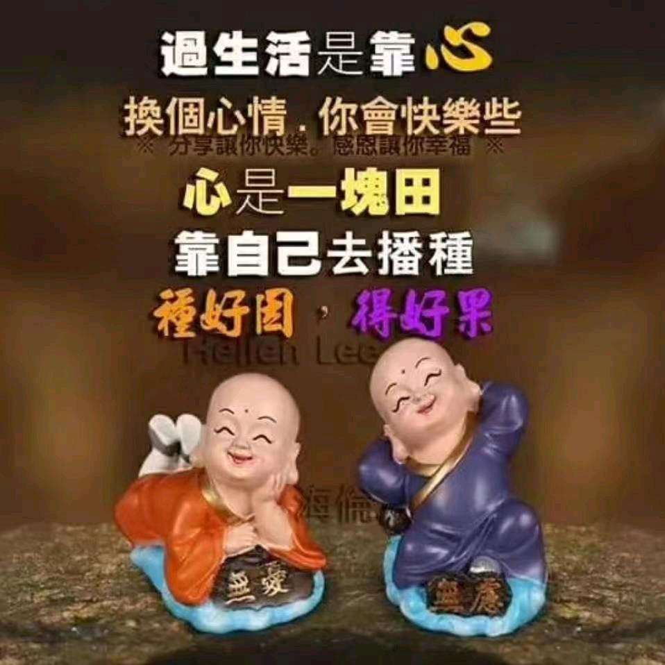 若相惜