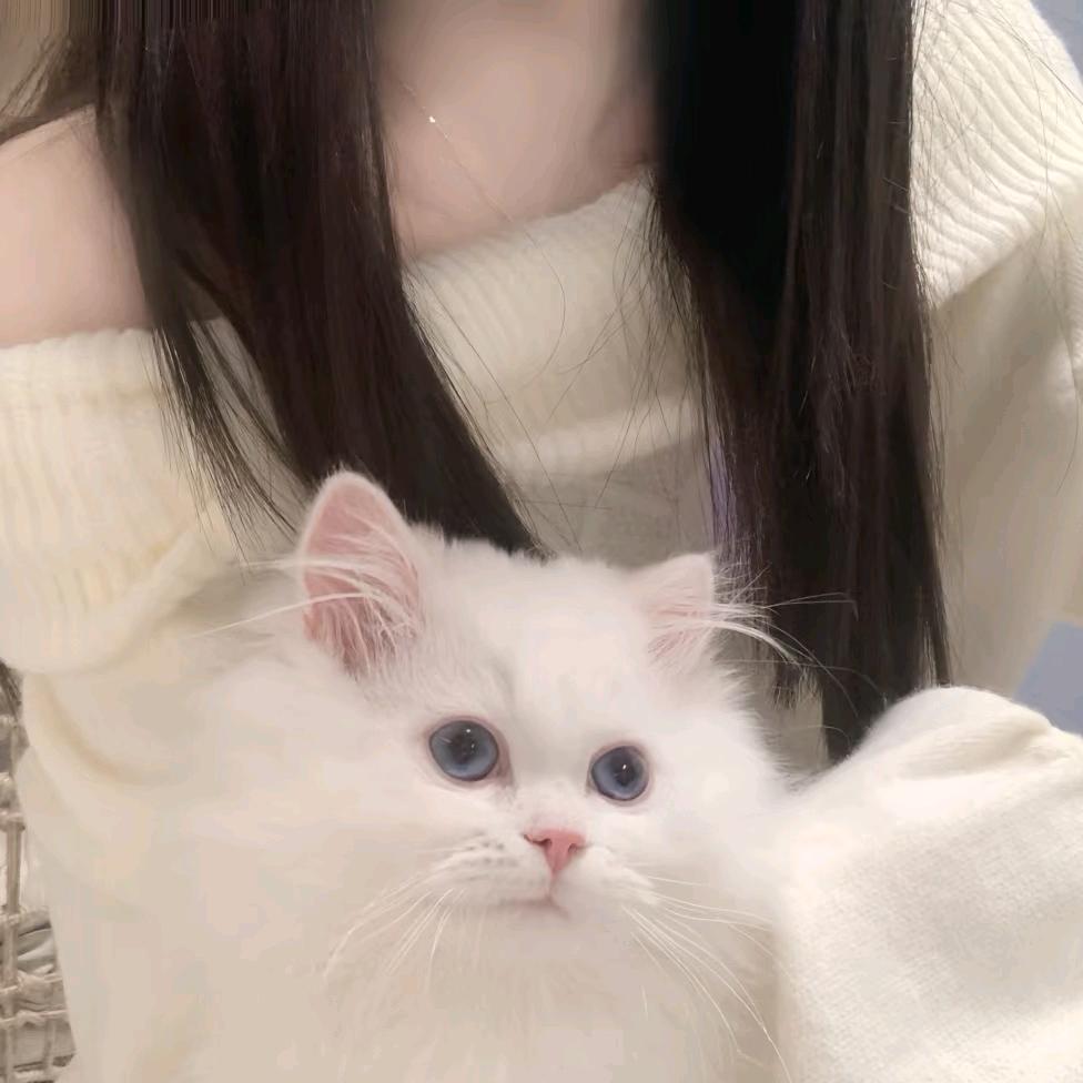 捡瓶盖凑钱打百万💰