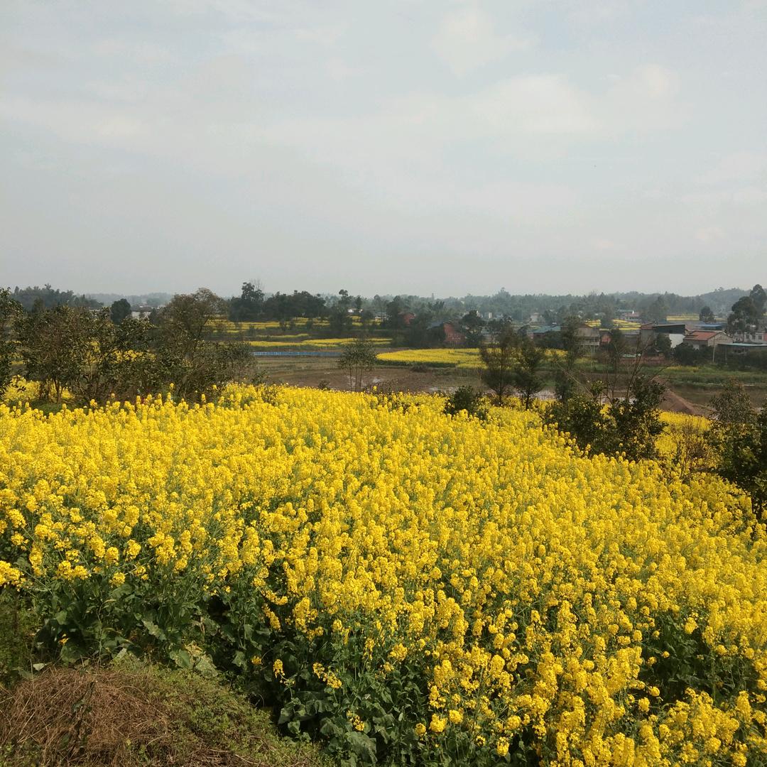 投影仪影音科技（深圳工厂总仓）