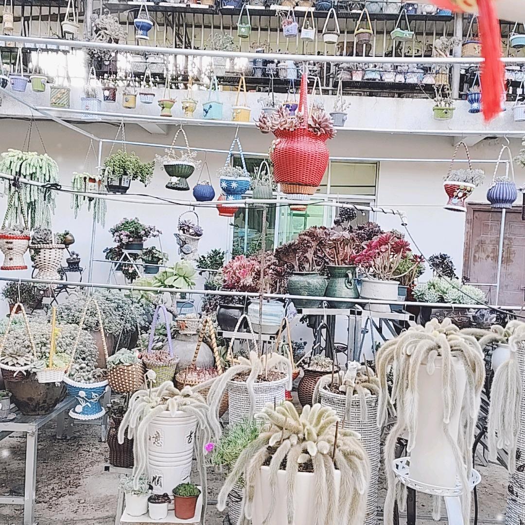 芳竹小院