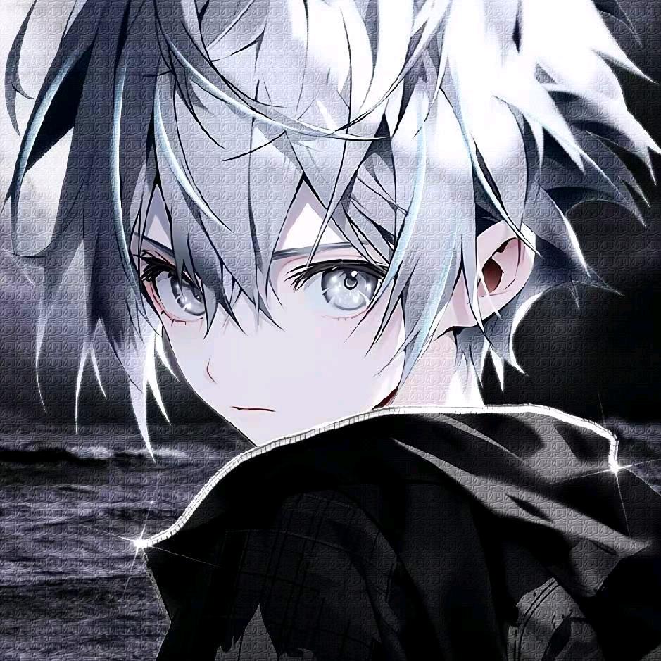 呆呆清（2w4镜老虎）