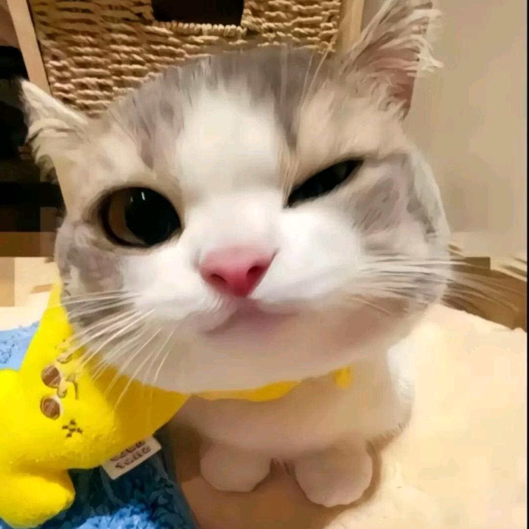 小雅同学🌼