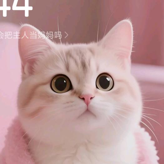 真爱一生
