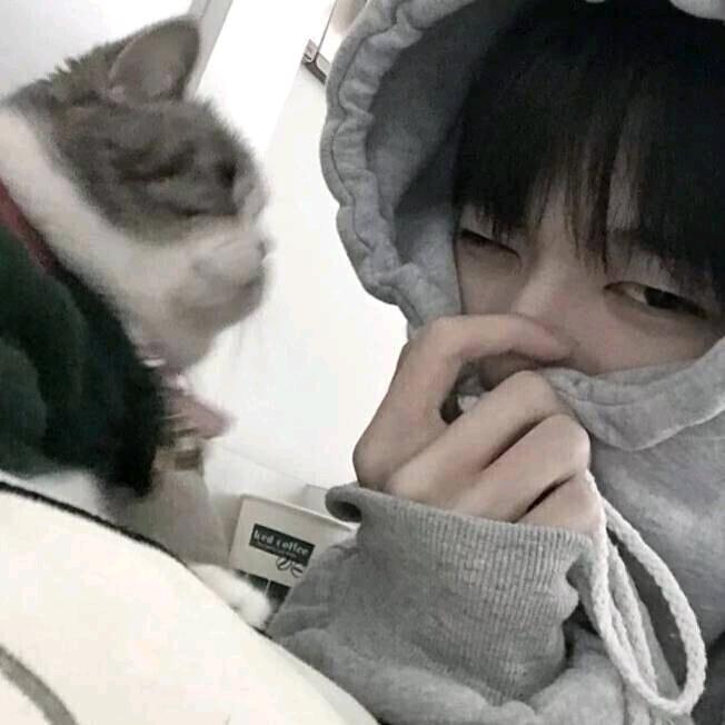 空心菜.