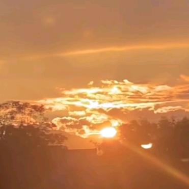 🥀⃟白🥀⃟落👀~🌆