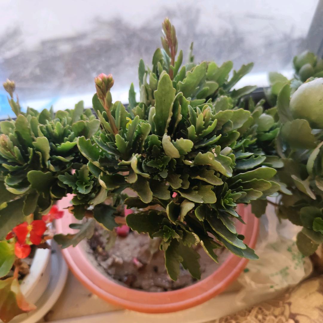 遇上你是我的缘。