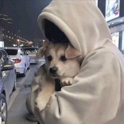 嘿蛋周