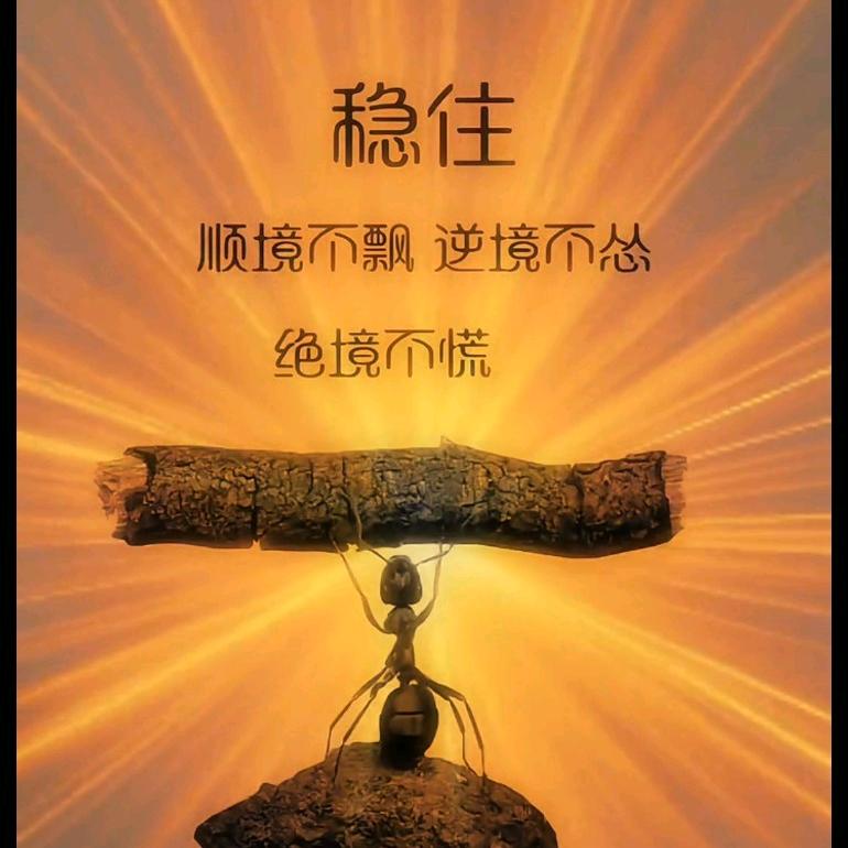 铭记于心“🖤🖤🖤”