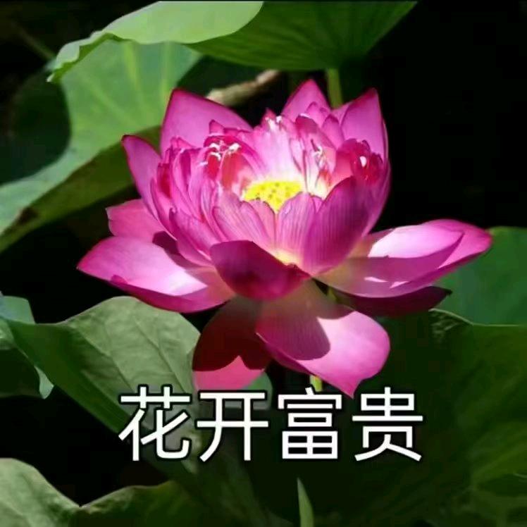 顺风顺水顺吉祥，日子会越来越好