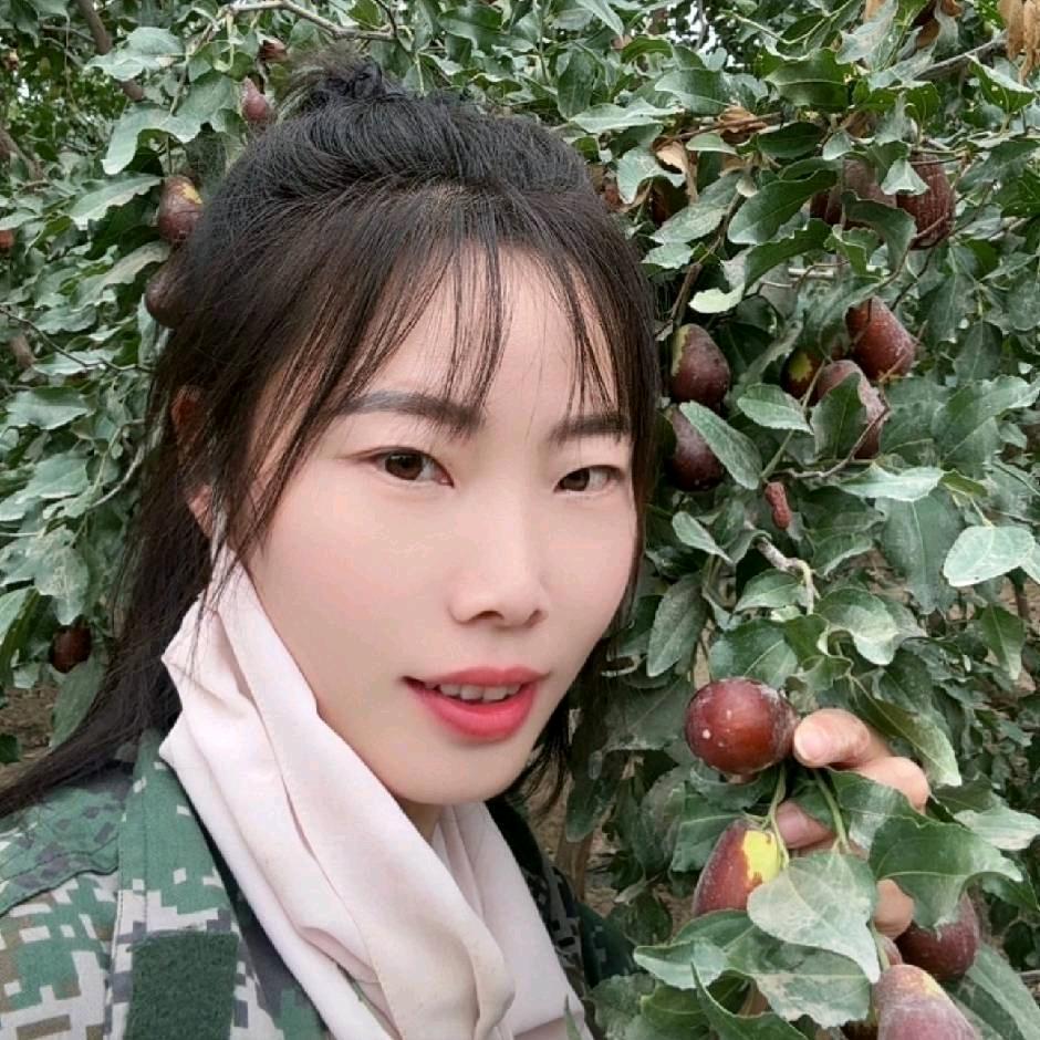 枣雪莲新疆和田大枣