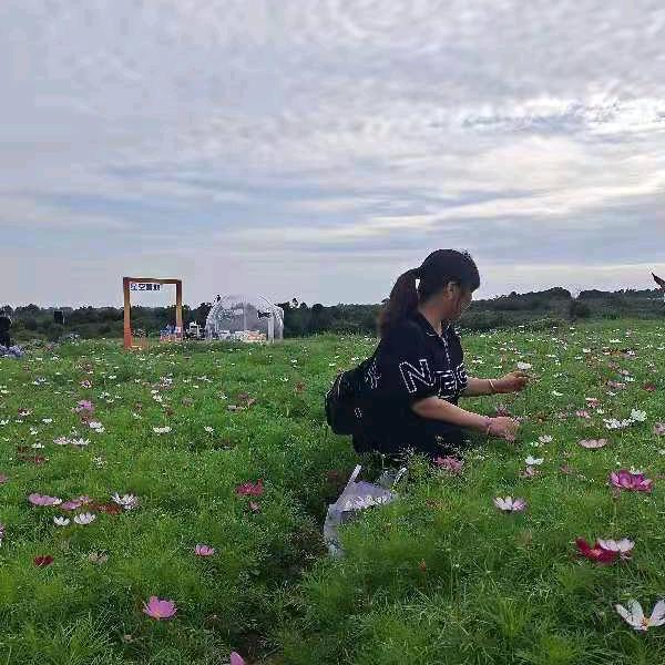小鱼儿