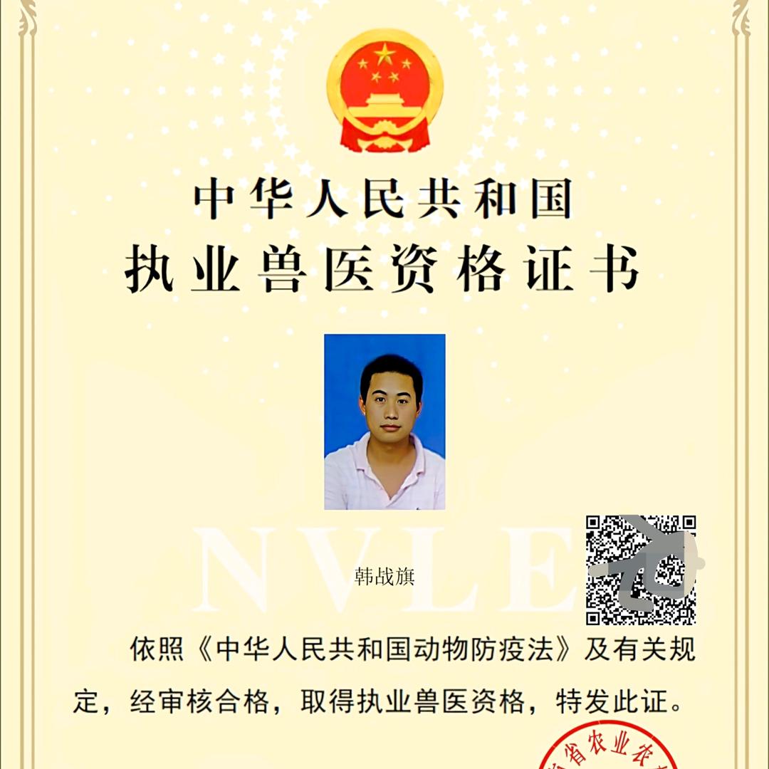 执业兽医韩老师