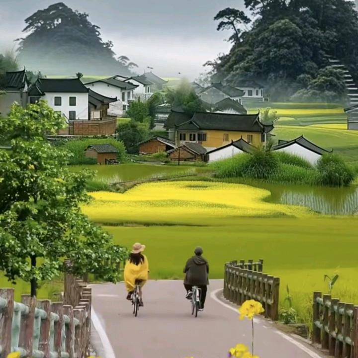 怎敢再扰☞