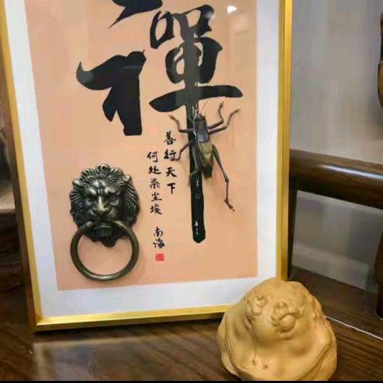 漯河市舞阳县璇乐高百货店（个体工商户）