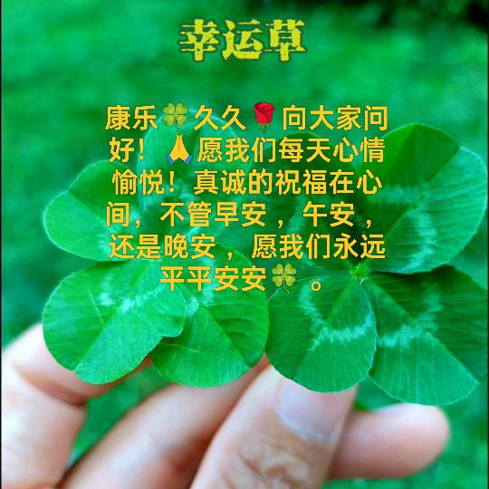 康乐🍀久久🌹